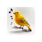 bird calls, sounds & ringtones android application logo